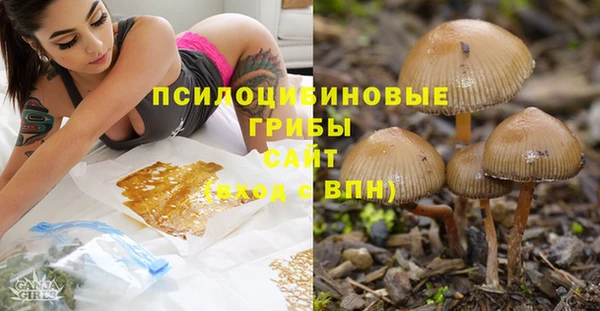 гидра Алексеевка
